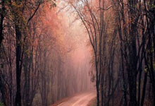 战术灵活多变的教练组织球队迅速适应对手节奏