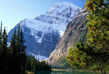 战术灵活多变的教练组织球队迅速适应对手节奏