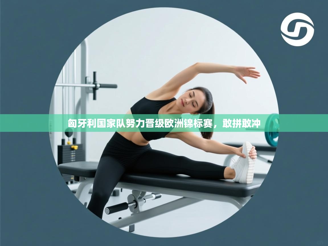 匈牙利国家队努力晋级欧洲锦标赛，敢拼敢冲