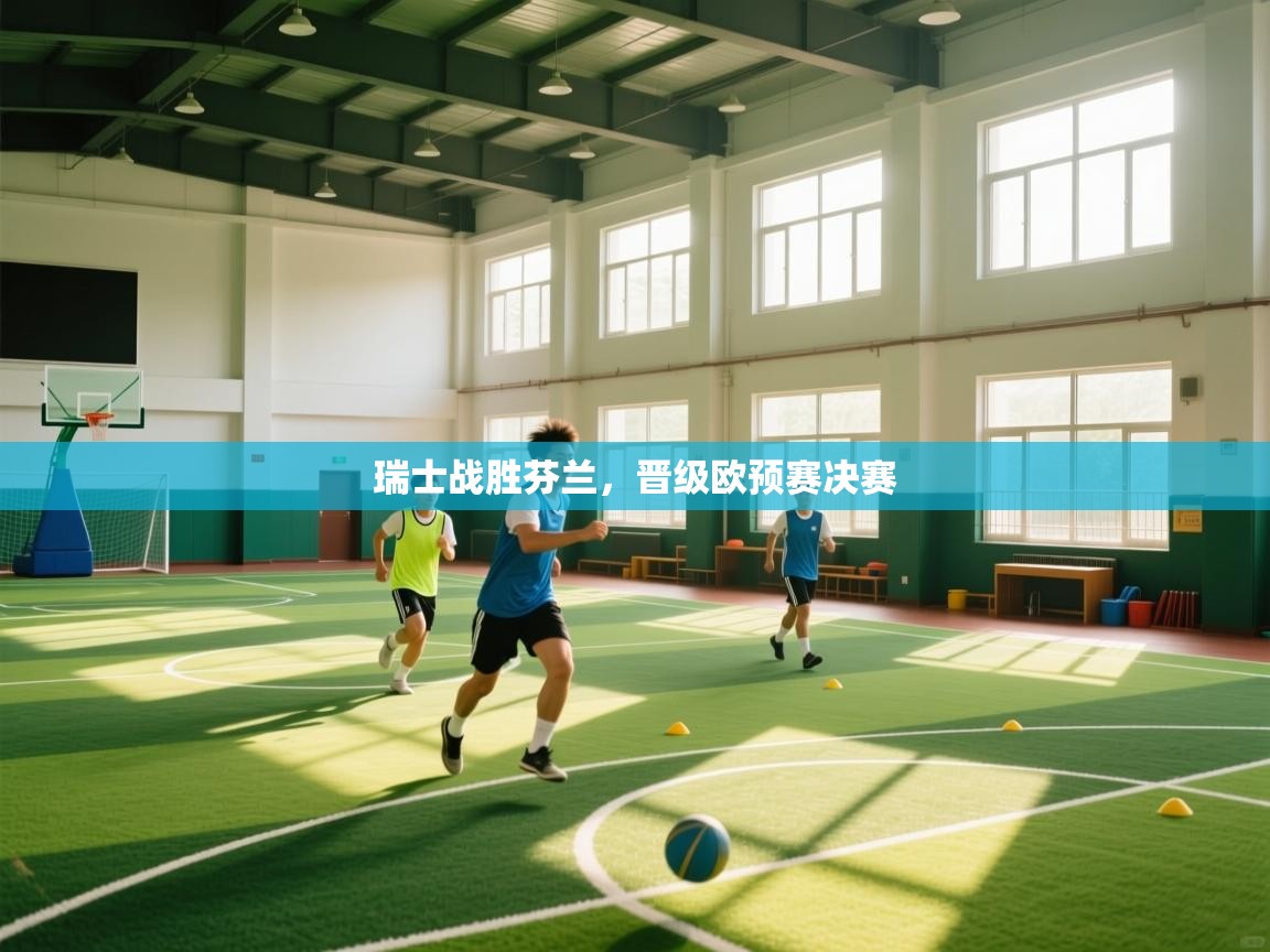 瑞士战胜芬兰，晋级欧预赛决赛  第2张