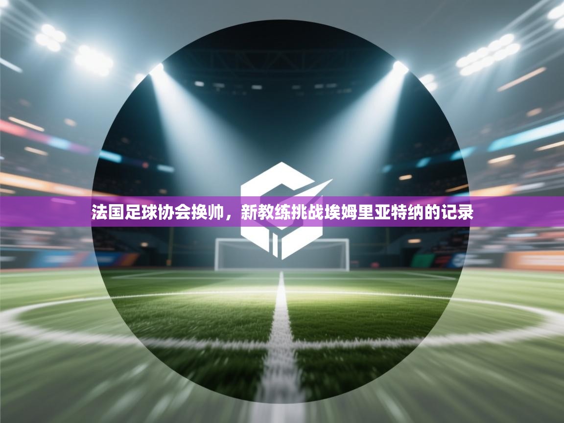 法国足球协会换帅，新教练挑战埃姆里亚特纳的记录  第2张