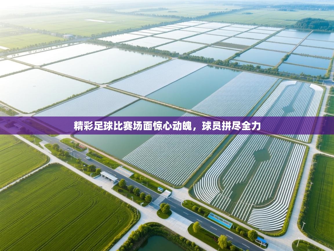 精彩足球比赛场面惊心动魄，球员拼尽全力  第2张