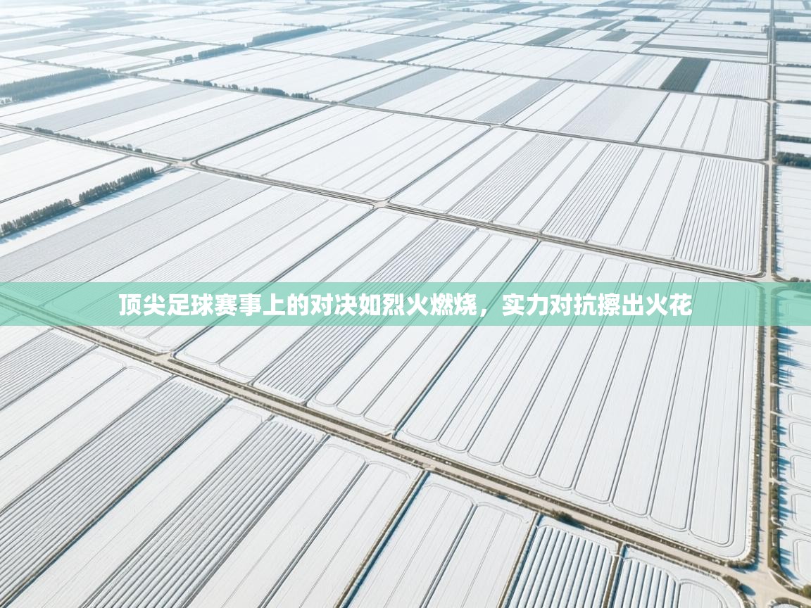 顶尖足球赛事上的对决如烈火燃烧，实力对抗擦出火花  第2张