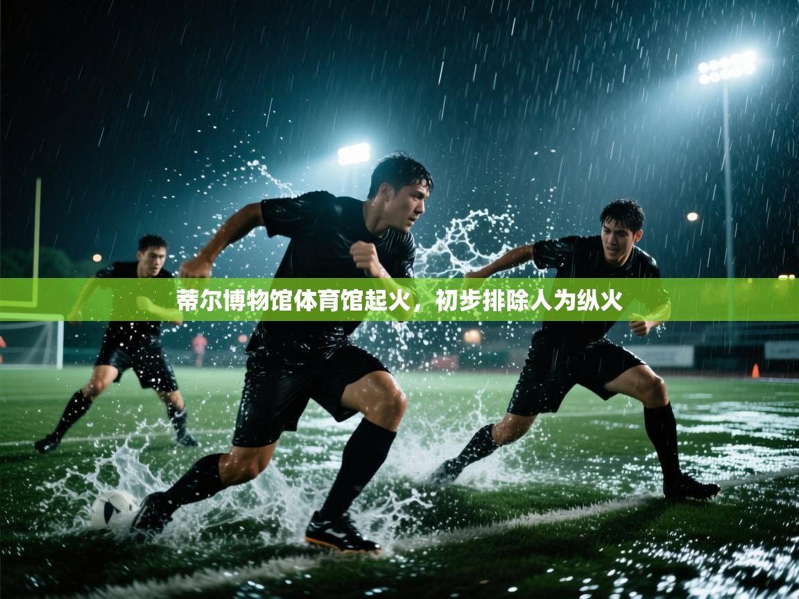 蒂尔博物馆体育馆起火，初步排除人为纵火  第1张