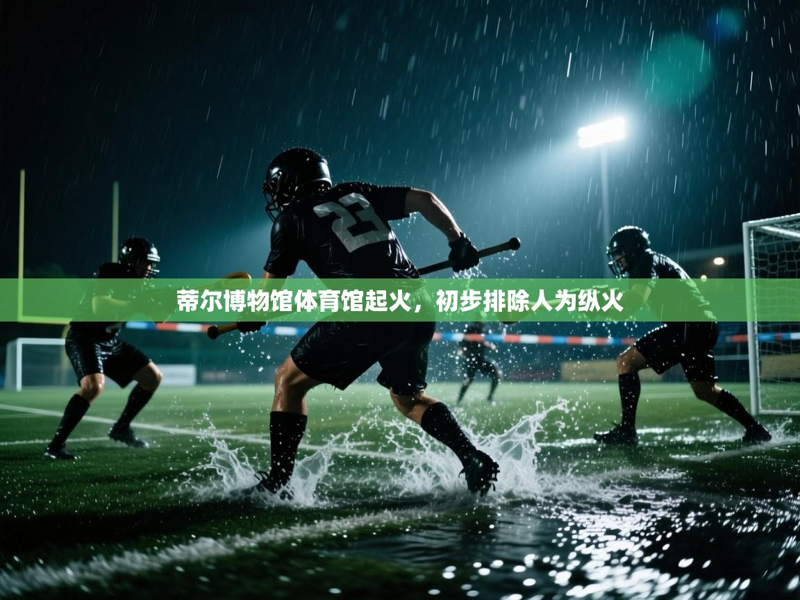 蒂尔博物馆体育馆起火，初步排除人为纵火  第2张