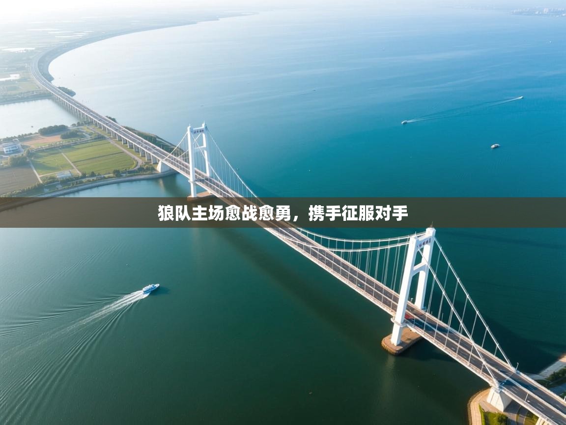 狼队主场愈战愈勇,携手征服对手 第2张