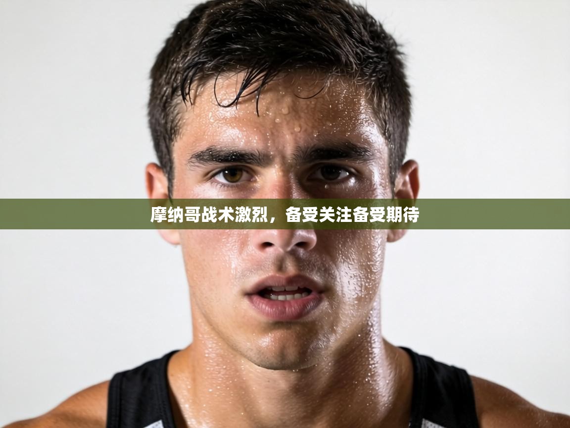 摩纳哥战术激烈,备受关注备受期待 第2张